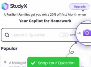 StudyX Extra discount